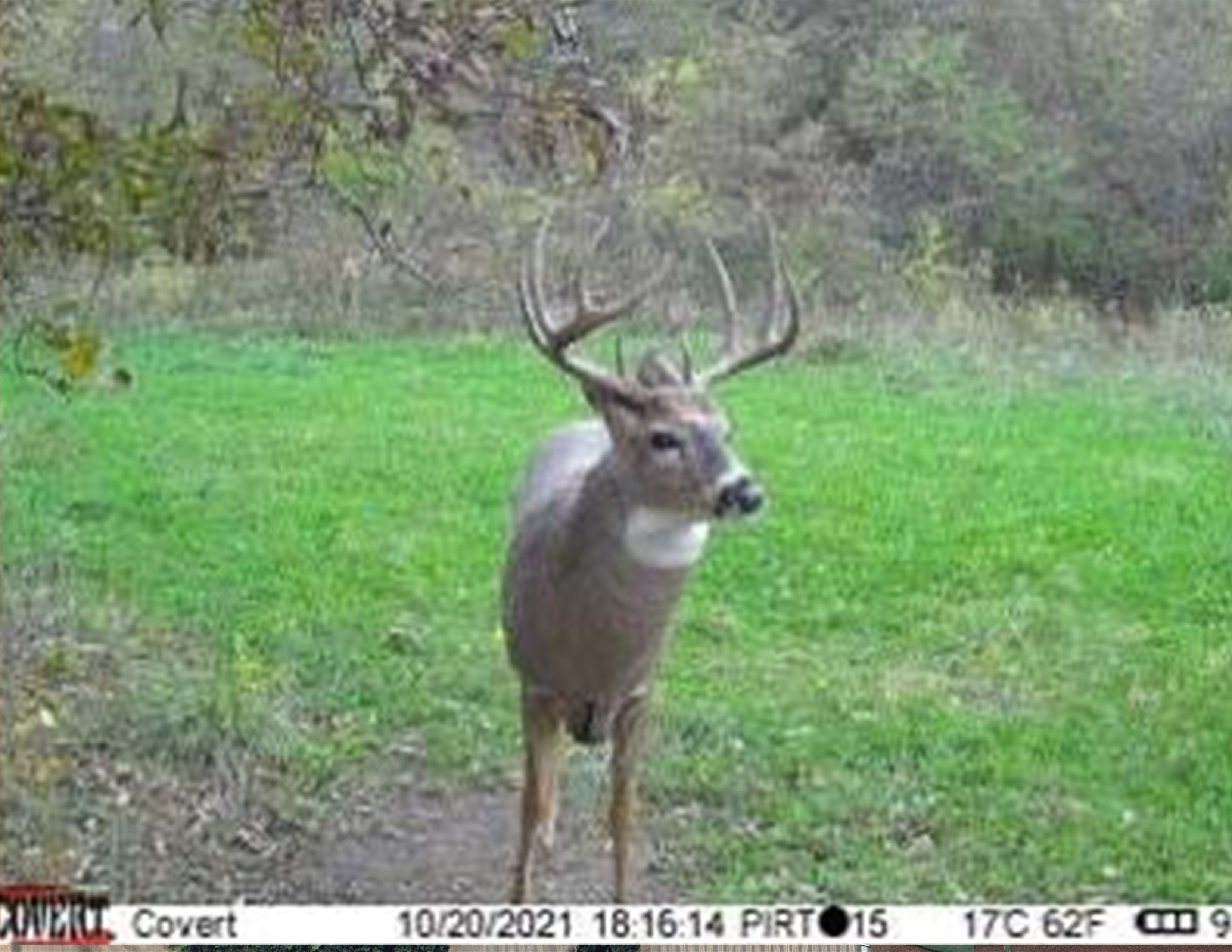 Listing Photo: 18135-PIRT0980 (2)